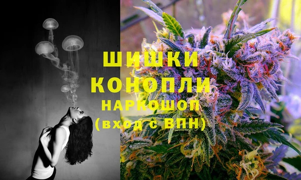 дурь Алзамай