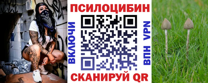 Псилоцибиновые грибы Psilocybe  Кореновск 