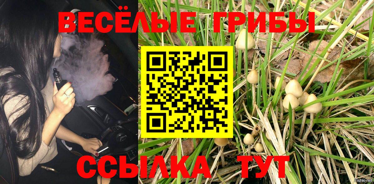 сколько стоит  Псилоцибиновые грибы мухоморы  Вход с VPN  Кореновск 